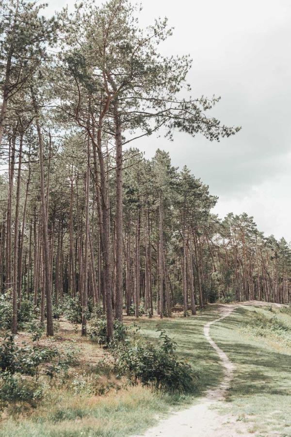 Boshuisje Op De Veluwe Нюнспет Экстерьер фото