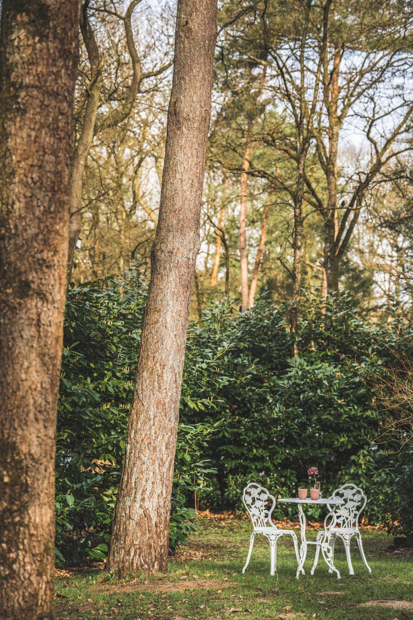 Boshuisje Op De Veluwe Нюнспет Экстерьер фото